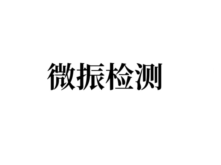 微振检测